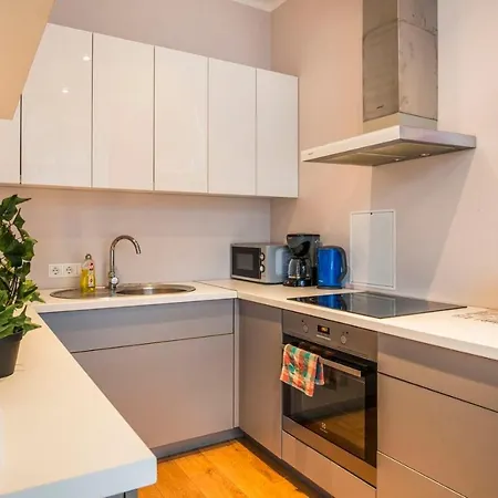 Apartment 2-level Penthouse With Terrace And Free Parking